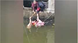重庆女子背着婴儿坠河 危急时刻众人上演生死大营救