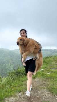 只有狗狗不管你贫穷还是富有都默默的陪伴在你身边，夏天六岁半了不管走到哪里都会带着他，这么大了还经常要我抱抱