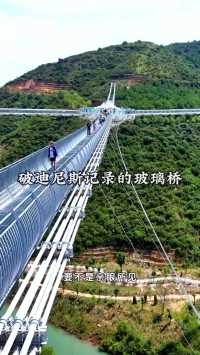 这里曾创造了迪尼斯世界最长玻璃桥记录，据说只有胆子大的人敢来挑战!