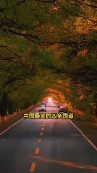 中国最美的四条国道，此生一定要自驾一次， 人生才不留遗憾~