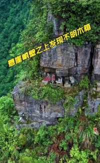 贵州大山之中的悬崖峭壁半山腰发现不明木箱，难道是悬棺？