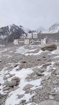 慕士塔格峰一号冰川下面冰蘑菇，估计以后慢慢消失。