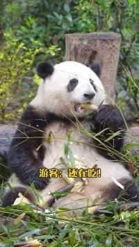 大熊猫和花：看清楚咯，这不是脖子吗？