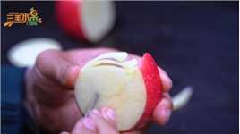 水果雕刻入门：一片苹果教你雕刻出翩翩起舞蝶双飞！