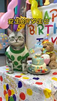 祝安生七岁生日快乐，可以看看你们的小猫都几岁了吗？给安生来句生日祝福吧