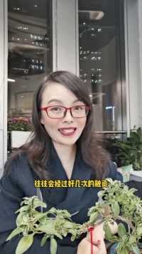 同股不同权的玩法。