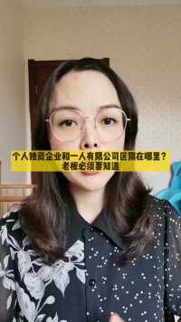 一人有限公司跟个人独资的区别。