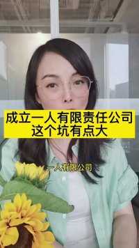 不建议成立一人有限公司的原因。