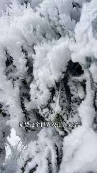 224初春的第一场雪，雪一落这里美成了诗，带你看雪景