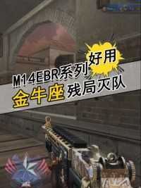 m14ebr系列神器，哪把最好用呢？#来微视游戏吧 