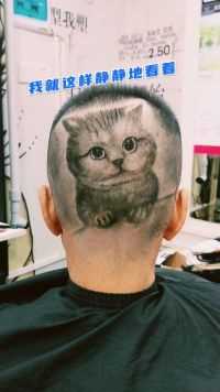 很可爱的猫咪发型雕刻  