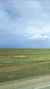 青海湖沿途蓝天白云草青水碧，牧场牛羊成群好一帧美丽画面……