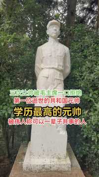十大元帅中唯一一位大学生罗荣恒,逝世后毛主席为他亲写悼词：国有疑难可问谁？