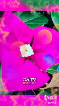 来微视，玩转互动视频。