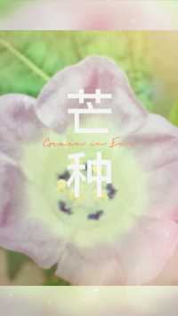 来微视，玩转互动视频。