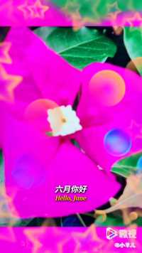 来微视，玩转互动视频。