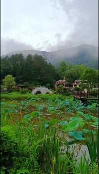 雨后的长水，云山雾绕，美如仙境！