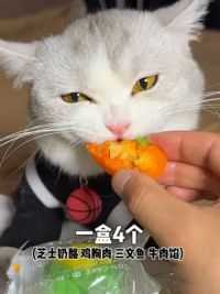 猫猫狗狗一生能几个中秋，它们也是我们的家人，中秋节怎么能少的了吃月饼呢#新手养猫 #萌宠养成记 #萌宠的中秋也要有仪式感