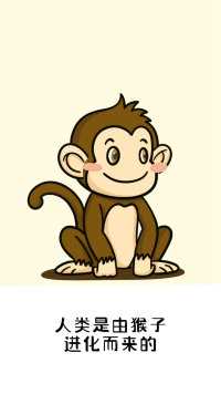 人类并不是由猴子进化而来的，猴子也不是人类的近亲？