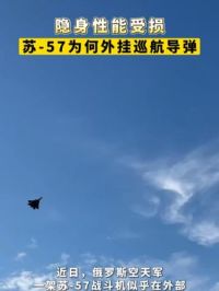 隐身性能受损，苏-57为何外挂巡航导弹 #苏57 #五代机 #军迷发烧友