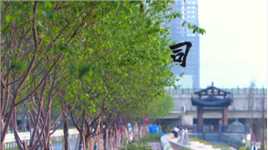 四月份拍的汕头市潮南区司马浦镇樱花大道变成绿树成荫的样子