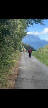 瑞士大山里的牧牛人。