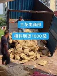 兰花电商部植料到货1000袋。