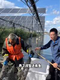 辽宁铁岭太阳能发电机里养河蟹，今年丰收了，2300亩水面30万斤螃蟹，你算算能卖多少钱？