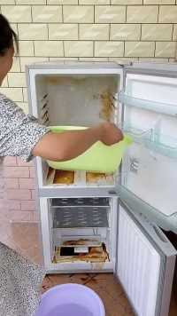 家里冰箱经常结冰有异味，肯定是排水孔堵住了，用这个疏通器