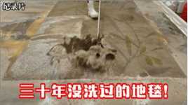 纪录片：地毯脏的能洗出“芝麻糊”，原色竟然长这样！