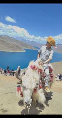 西藏羊卓雍措 来过才明白天上人间 悦遍所有山川湖海，都不及在海拔4998米处见你一面。#羊卓雍措#羊湖#西藏#羊湖