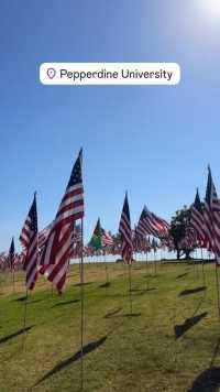 开车经过Pepperdine University
​偶遇Seaver Dr沿途草地上的国旗阵地
​成百上千支的架势，非常壮观
 #国旗飘扬 
 #带你看美国洛杉矶 
 #我的海外生活日记