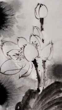 或浓或淡灿然开，姸雅从容不染埃。