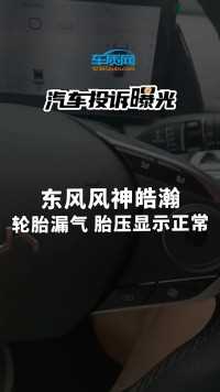 2024年7月17日刚购买的东风风神皓瀚，左后轮胎出现漏气，但车内仪表上胎压监测一直显示胎压正常，直到轮胎一点儿气都没有了还是没报警。#东风风神#皓瀚#轮胎漏气#汽车投诉#车质网