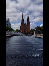 2023-11～21澳大利亚悉尼圣玛丽大教堂和蓝花楹