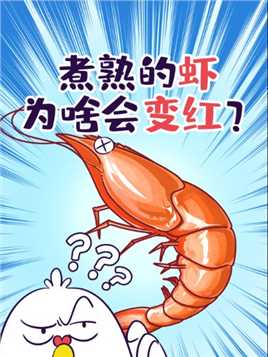 煮熟的虾，为啥会变红？#美食 #科普 #虾 #虾青素 #知识 #冷知识 #搞笑 #动画 #动漫 