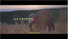 汪贵沿诗电影:麦子的传说