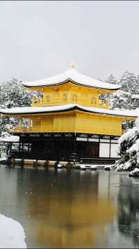 冒着雪去拍金阁寺  #雪中金阁寺 #冬季风景 #京都寺庙