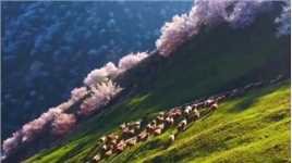 你想过普通的生活，就会遇到普通的挫折