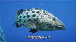 蠃鱼：中国古代神话中的异兽