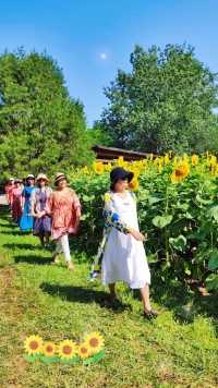 奥森北园向日葵🌻🌻🌻🌻🌻