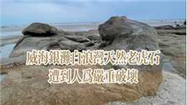 威海银滩白浪湾天然老虎石遭到人为严重破坏