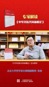 北京大学哲学系长聘制副教授张梧解读《中华民族共同体概论》