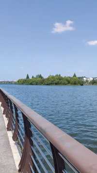 胜日寻芳泗水滨，无边光景一时新。