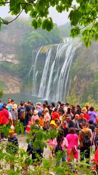 《多彩贵州》三：
贵州黄果树瀑布。黄果树瀑布，位于贵州省安顺市镇宁布依族苗族自治县，是中国最大的瀑布，排名亚洲第一，世界第三。黄果树瀑布的宽度为101米，高度为77.8米。黄果树瀑布是世界上唯一可以360°全方位游览欣赏的瀑布。我们今天从正面由远及近，再穿过瀑布里面的水帘洞，进行了360度全景式观赏游览。
