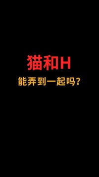 猫和H能巧妙融合吗?#logo设计#创业#商标设计