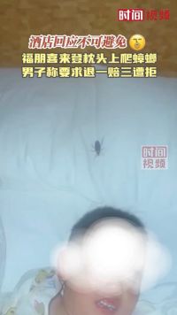 海南万宁福朋喜来登酒店枕头上爬蟑螂 男子称要求退一赔三遭拒
