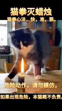 猫灭蜡烛。