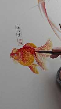 画一条火红的金鱼。