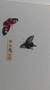 画一只凤蝶